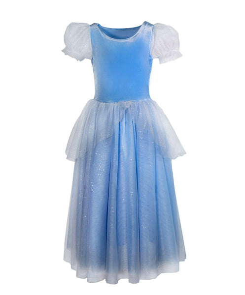 The Princess Cinderella dress Happiest Tees On Earth The Princess Cinderella dress Happiest Tees On Earth