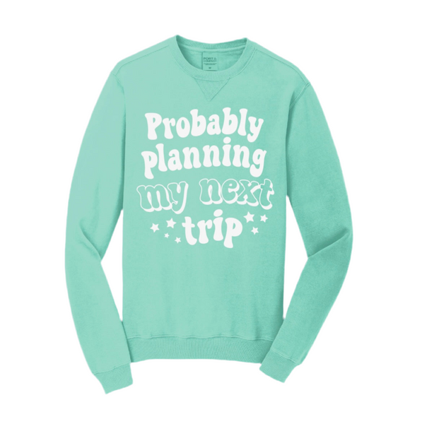Probably Planning my Next Trip - Crewneck