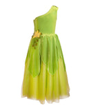 The Frog Princess or Tinker Fairy dress