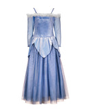 The Blue Sleeping Princess Dress