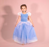 Princess Cinderella dress